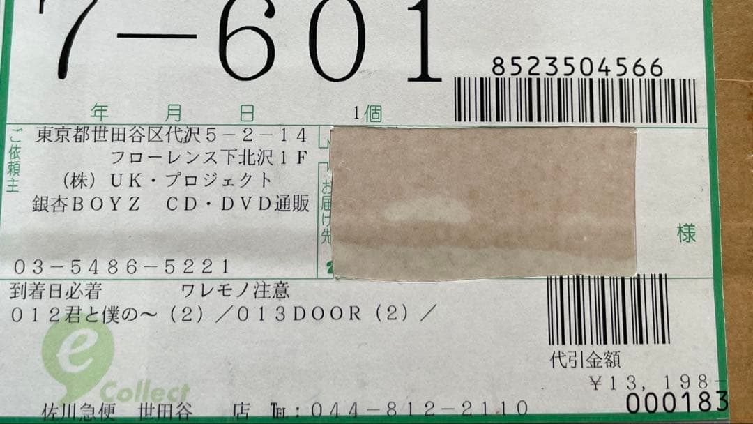 【初回プレス】銀杏BOYZ LP レコード