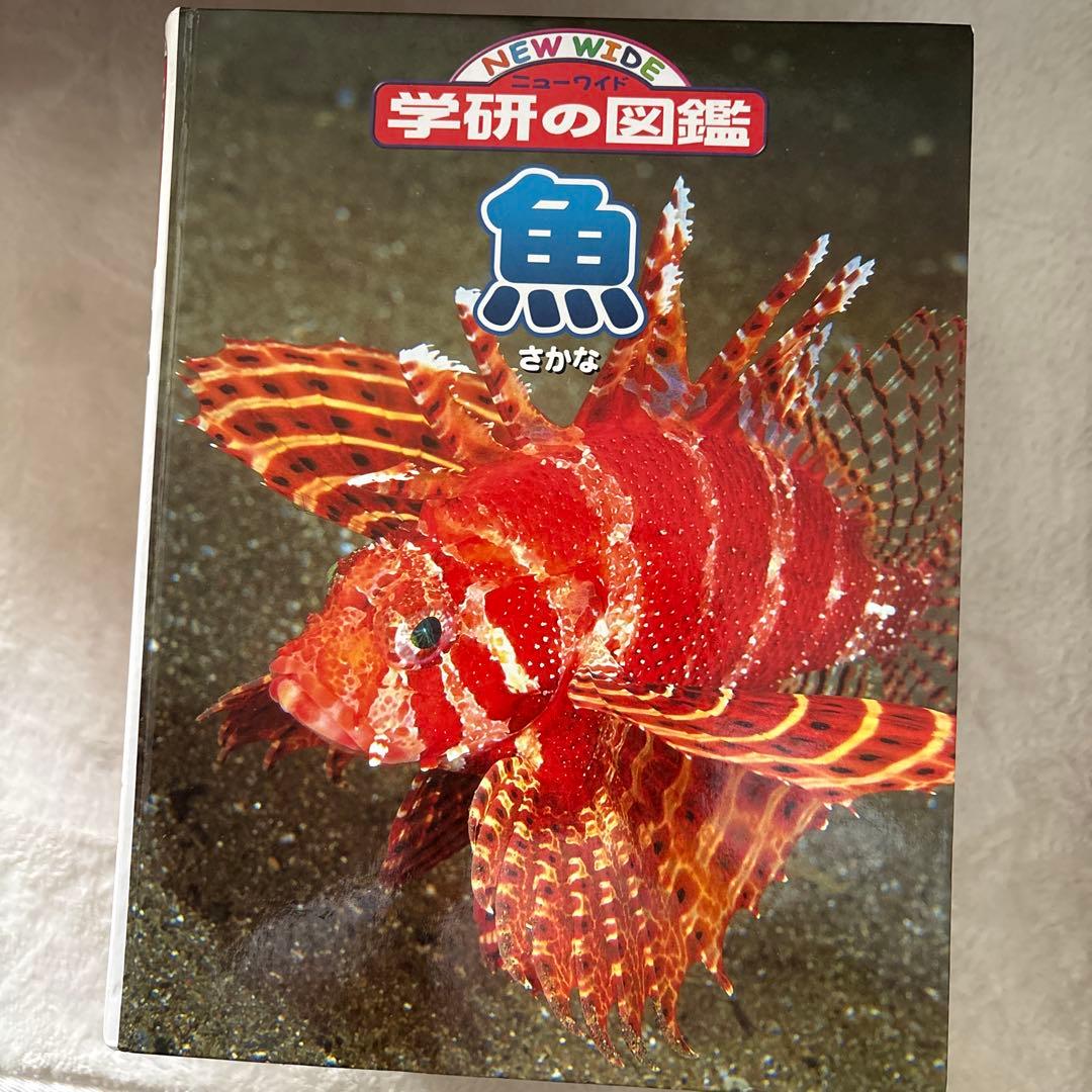 学研の図鑑LIVE＋小学館NEO ほか 図鑑 11冊まとめセット