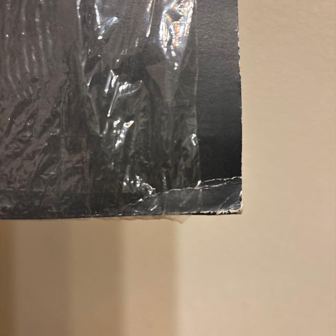 オリジナル盤 DJ Cam Soulshine レコード オリジナル Guru