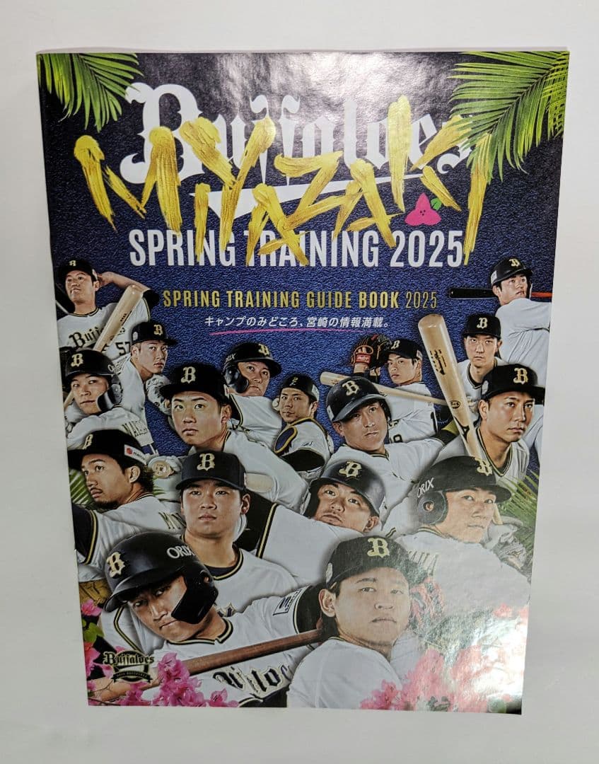 オリックス 山下舜平大 サイン 色紙 大阪オリックス バファローズ 宮崎キャンプ