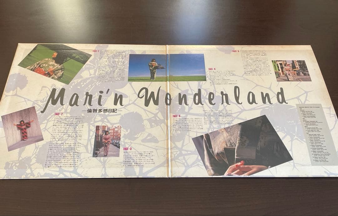 飯島真理 レコード / LD 未開封 入手困難 / ツアーパンフ / パズル