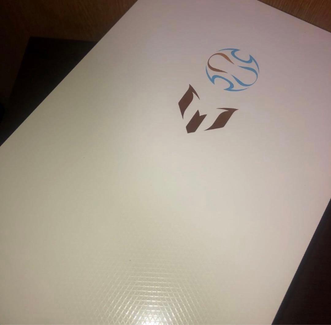 期間限定出品 新品 F50 エリート TUNIT FG 25cm メッシ