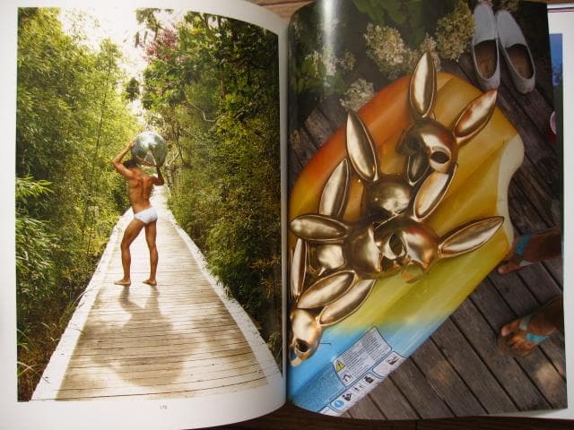 FIRE 　ファイアー・アイランド