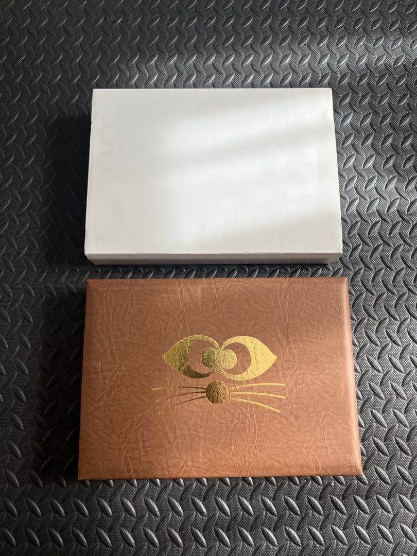 ZEAL 20周年 限定　アライくんset 亀　新品　未使用