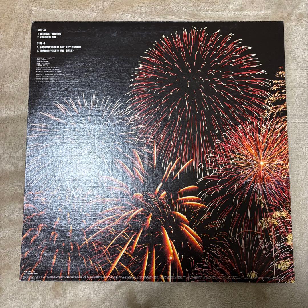 SUNNY DAY SERVICE /サニーデイ・サービス LPレコードまとめ売