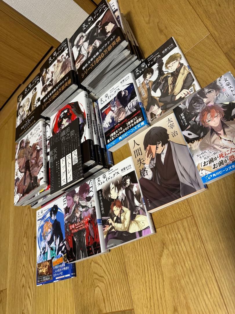 文豪ストレイドッグス 漫画 小説