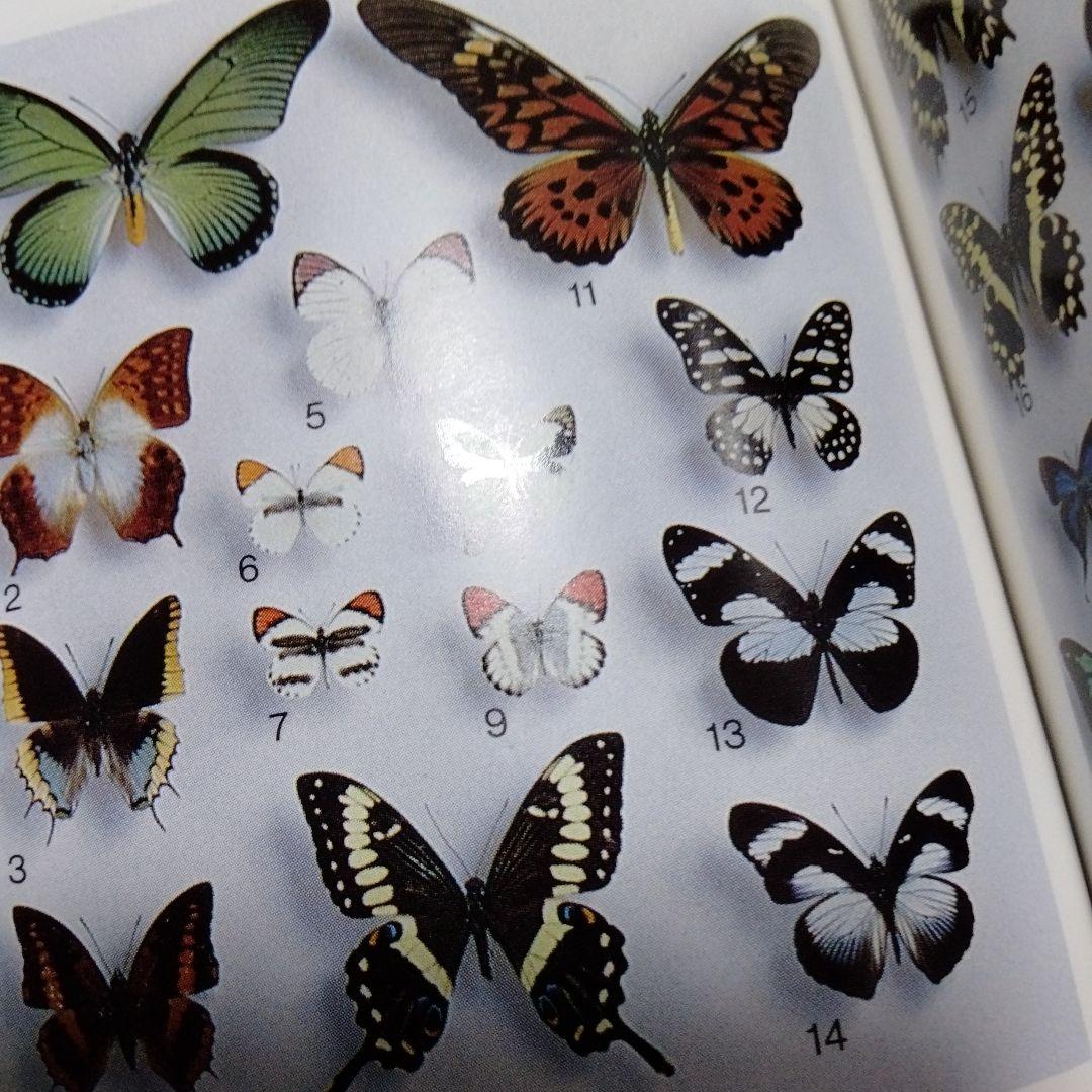 蝶の切手 文庫 カラー版 昭和 レア モルフォ ブルバタフライ オオムラサキ