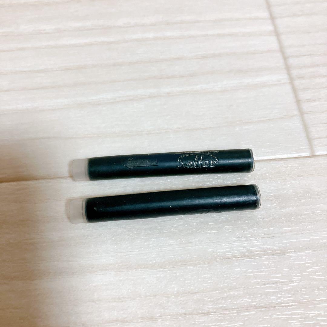 【レア】　sailor 万年筆 セーラー F-1