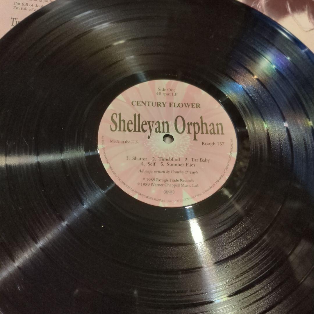 Shelleyan Orphan レコード 2枚