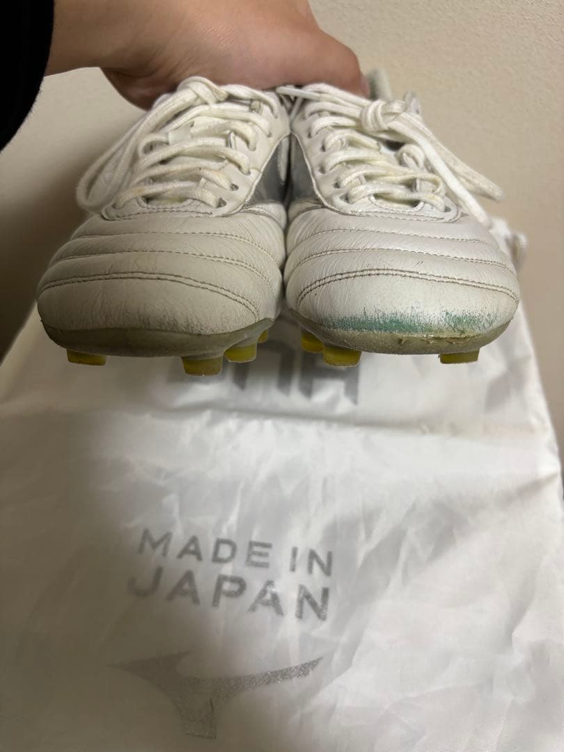 モレリア DNA JAPAN