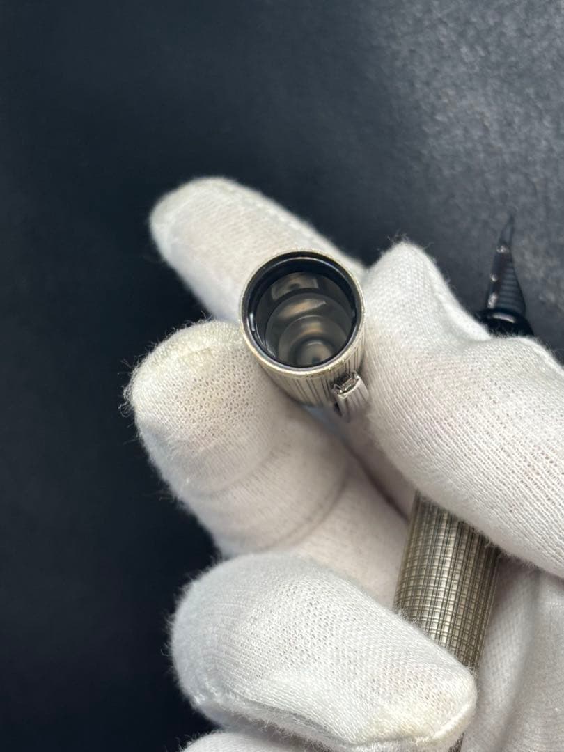 プラチナ万年筆100周年限定モデル新品