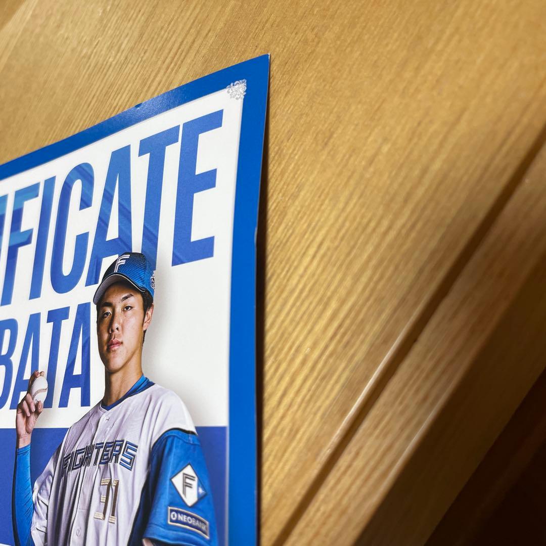 WE LOVE HOKKAIDO ユニフォーム2枚　柴田獅子初登板証明書1枚