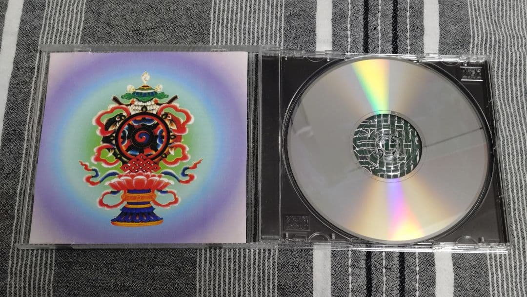 P-MODEL LIVEの方法 帯なし【期間限定値下げ】