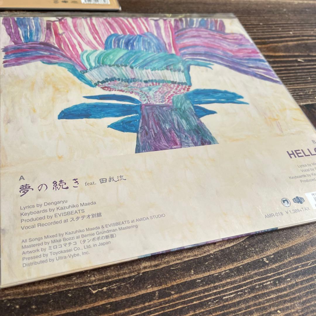 レアevisbeats レコード　ゆれる/夢の続きfeat田我流　夜風に吹かれて