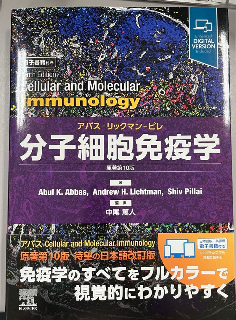 分子細胞免疫学 原著第10版