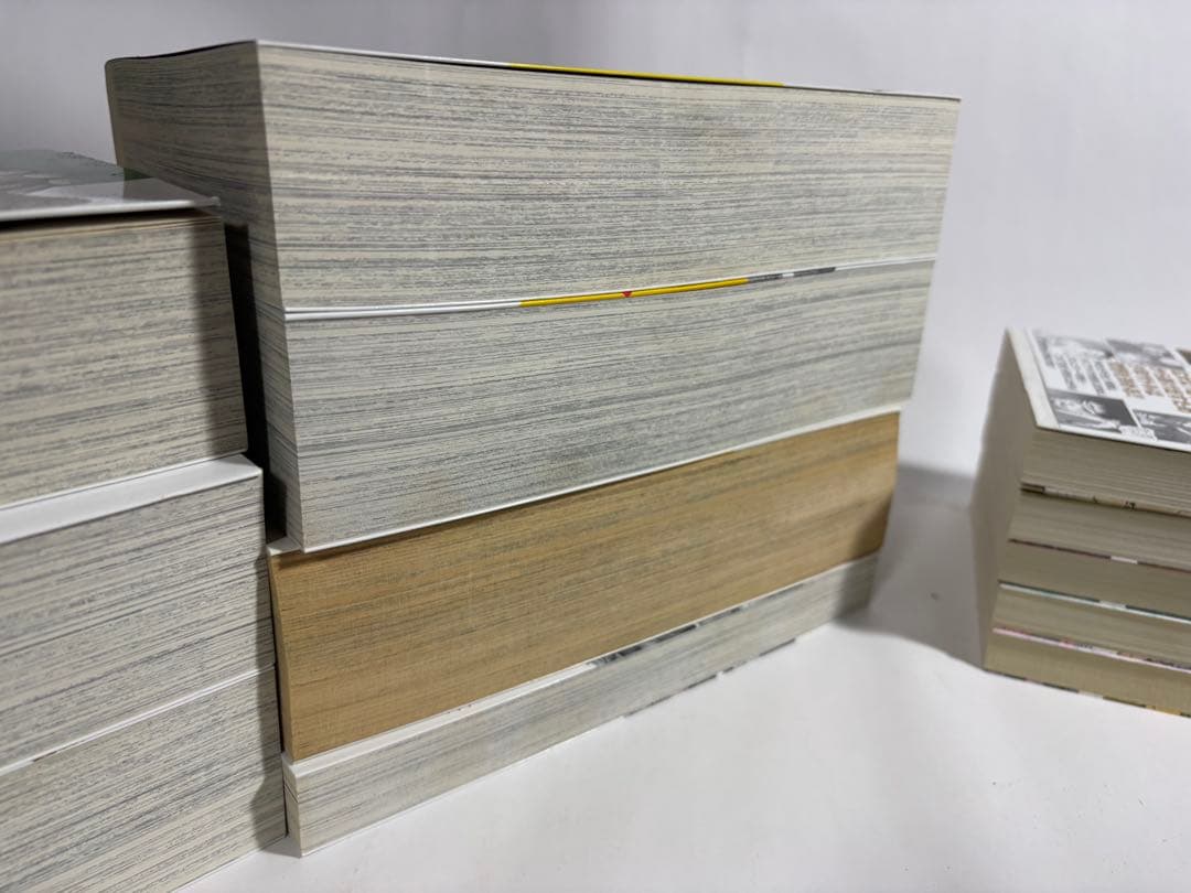 サバイバル　ワイド版　全巻　少年sの記録