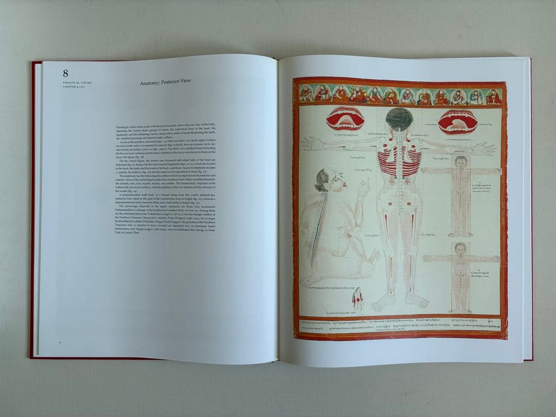 洋書 Tibetan Medical Paintings