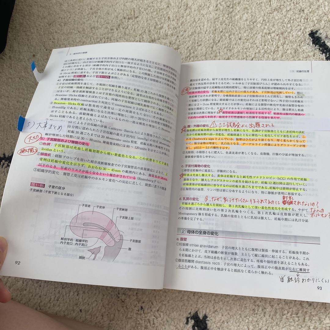 プリンシプル産科婦人科学 2