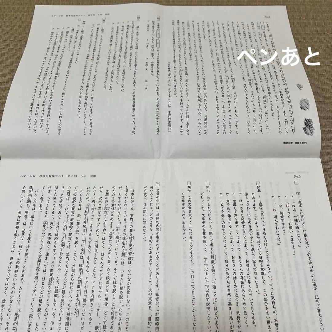 2025年 日能研 5年 ステージⅣ 思考力育成テスト❶〜❺