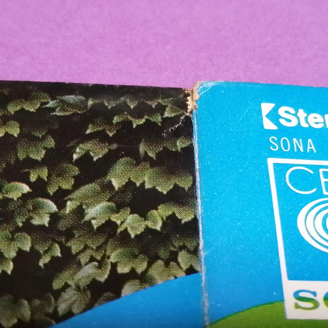 （７）ザ・バロネッツ／サロマの秘密　デビューシングル