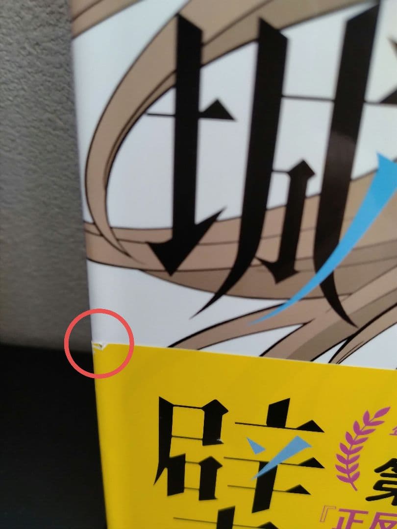 氷の城壁 1〜13巻