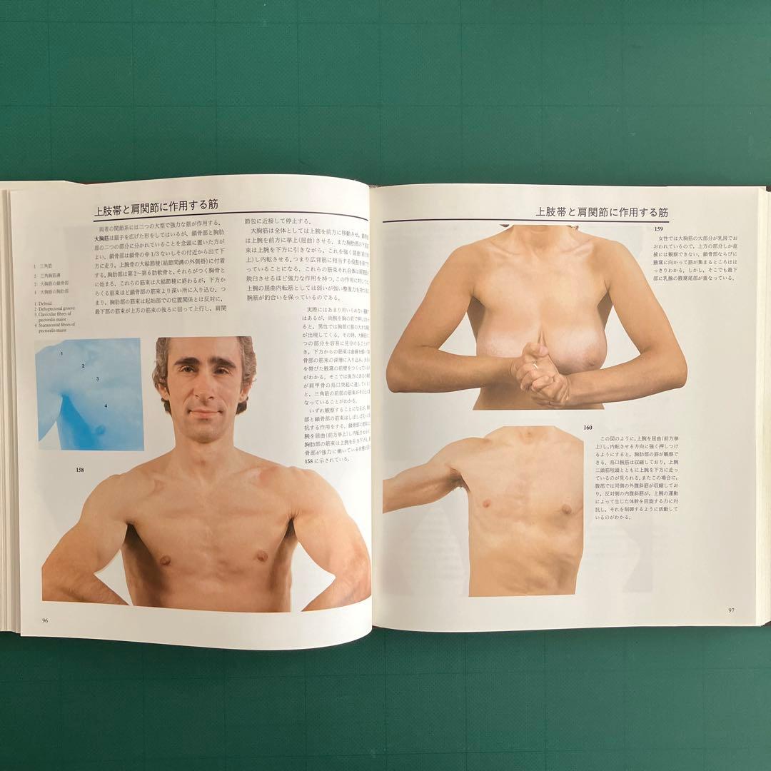 体表解剖カラーアトラス 東京医科歯科大学教授 佐藤達夫 監訳