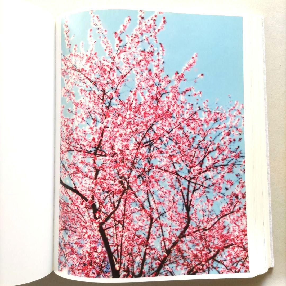 PHILIPP KEEL:COLOR/フィリップ・キール 写真集 作品集 洋書