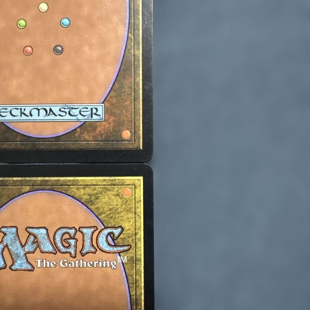 MTG サーボの網 日本語版4枚セット