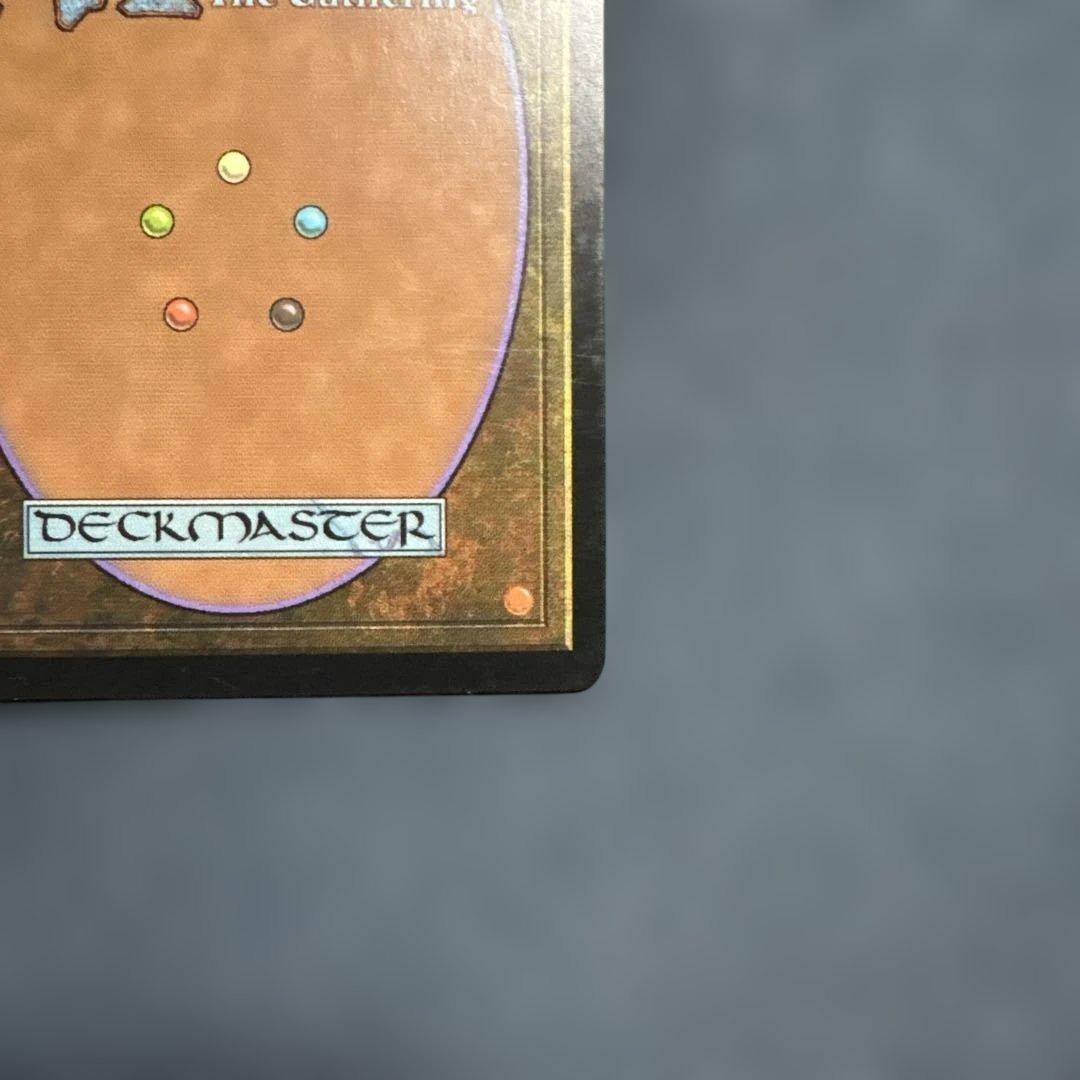 MTG サーボの網 日本語版4枚セット