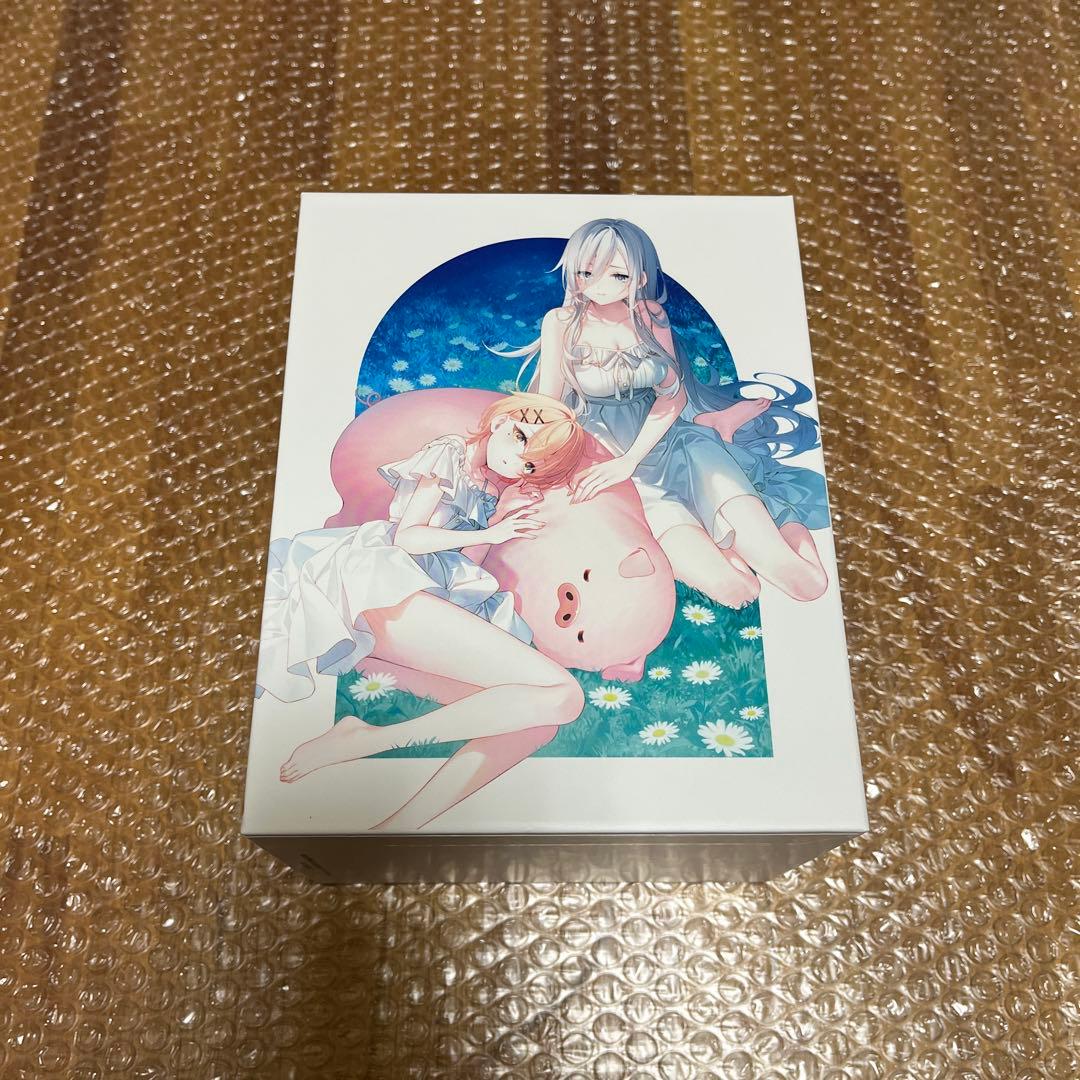 豚のレバーは加熱しろ 豚レバ DVD 全6巻セット 全巻収納BOX付き 未使用