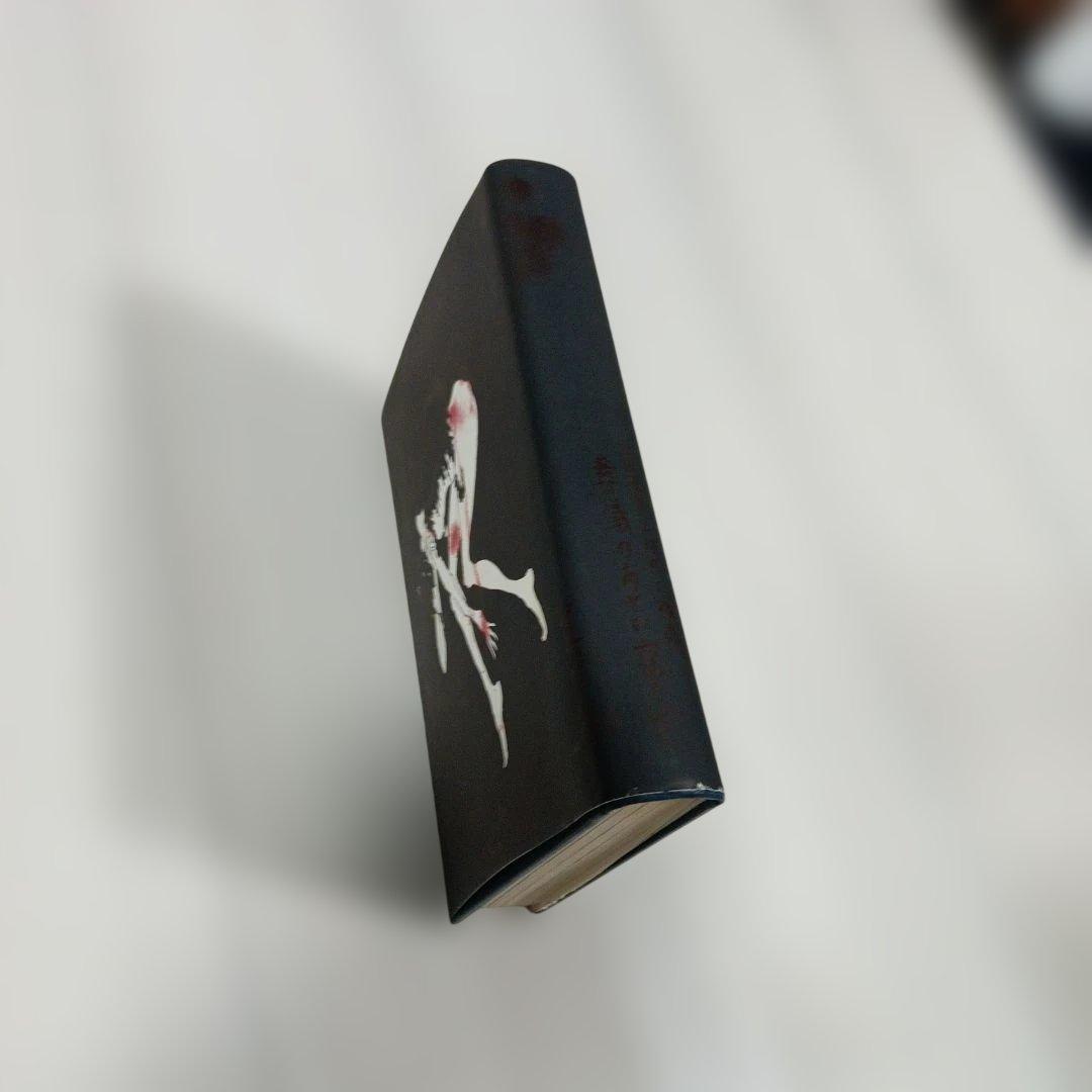 葬儀のあとの寝室 13の怪奇と幻想の物語　秋山正美 第二書房 特別装丁版