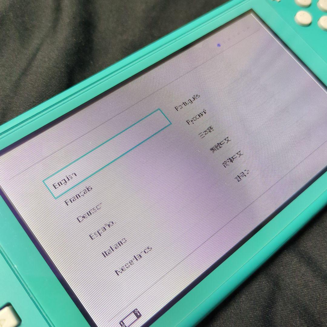 スイッチライト　本体