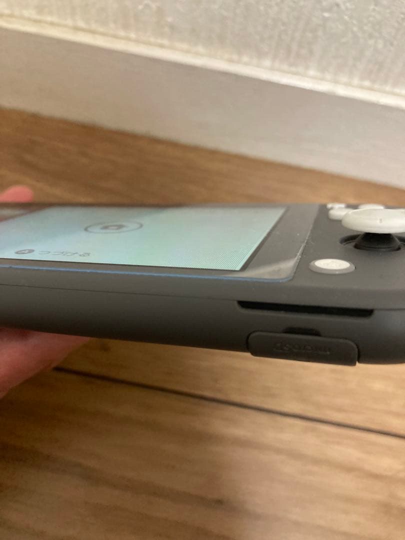 d*9様 Nintendo Switch Lite グレー 本体