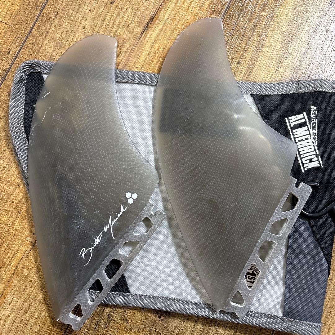 アルメリック　ツインフィン 2枚セット