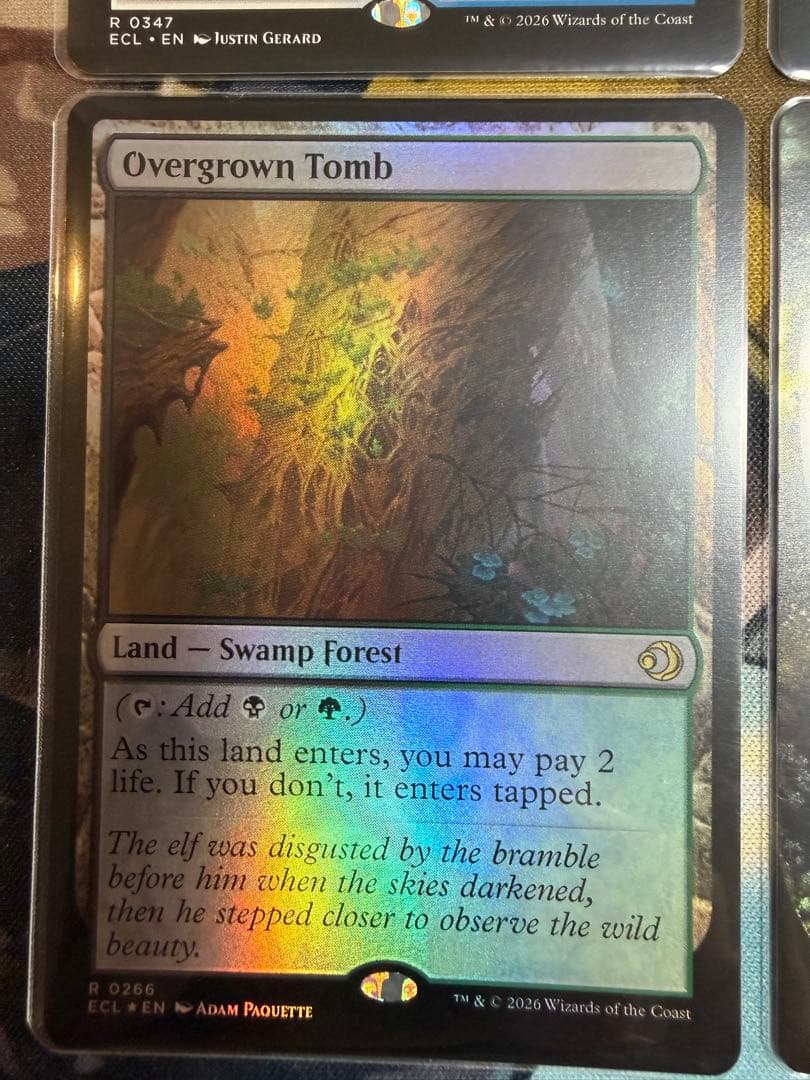 mtg 英語 神聖なる泉 血の墓所 草むした墓 寺院の庭 各種1枚