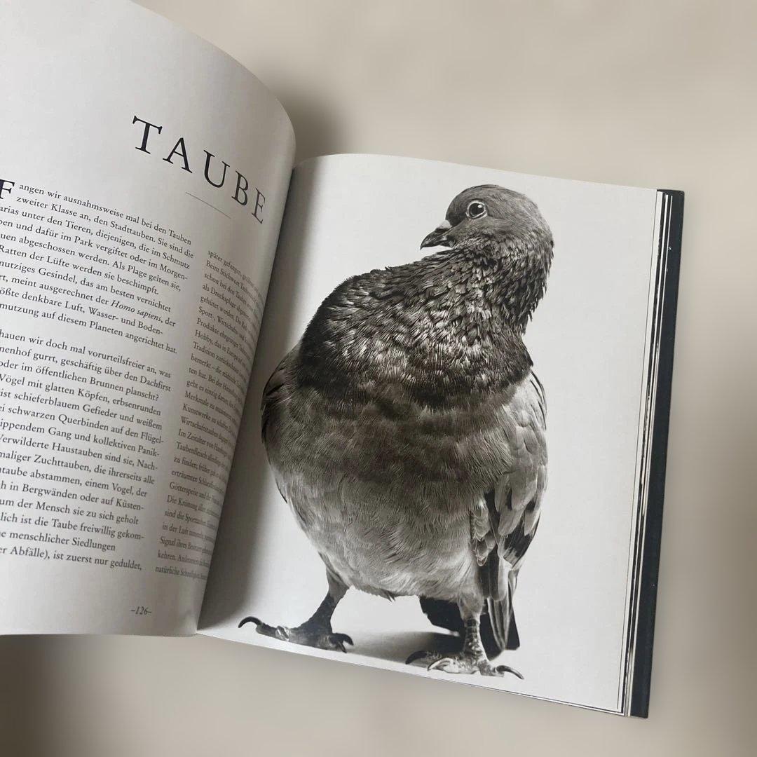 Die Seele der Tiere - 写真集