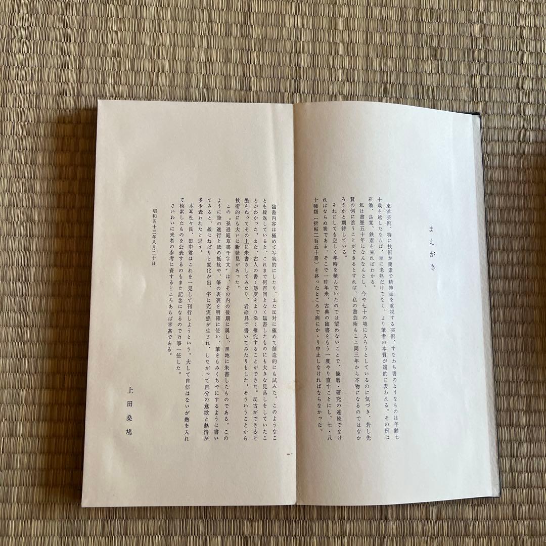 孫過庭草書千字文　上田桑鳩　木耳社