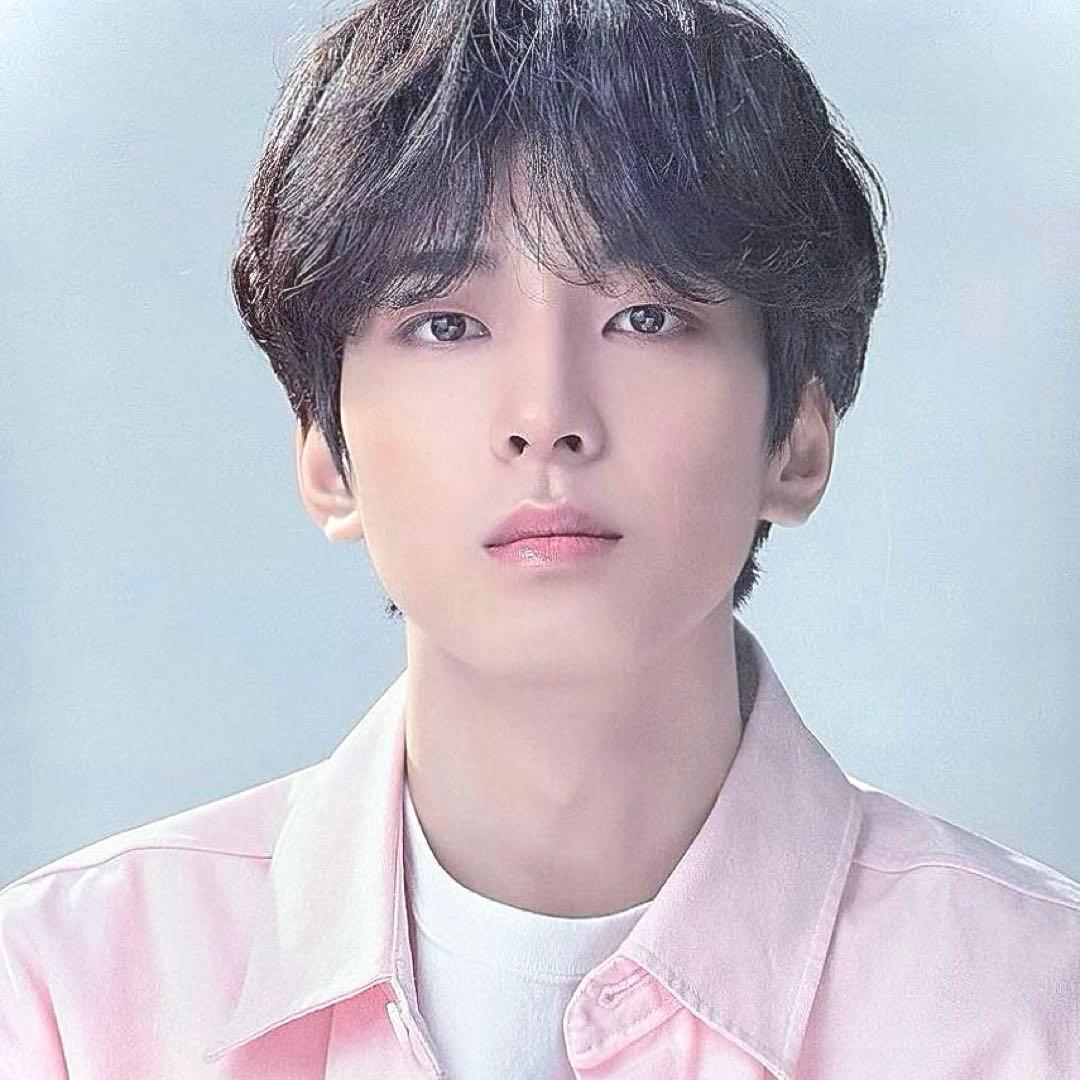 SEVENTEEN ウォヌ　the SAEM ザセム　非売品　ポスター　　全圆佑