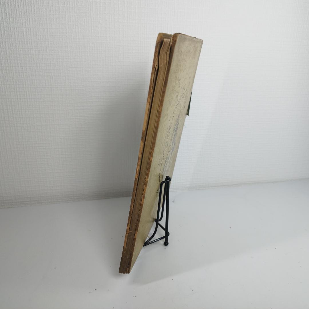 アーネストニスター ハリエットベネット ヴィクトリアン 絵本 1888 f7Tq