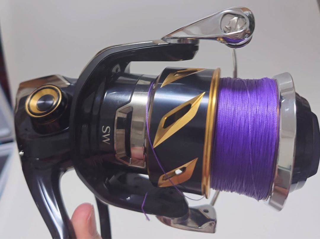 22ステラsw10000hg