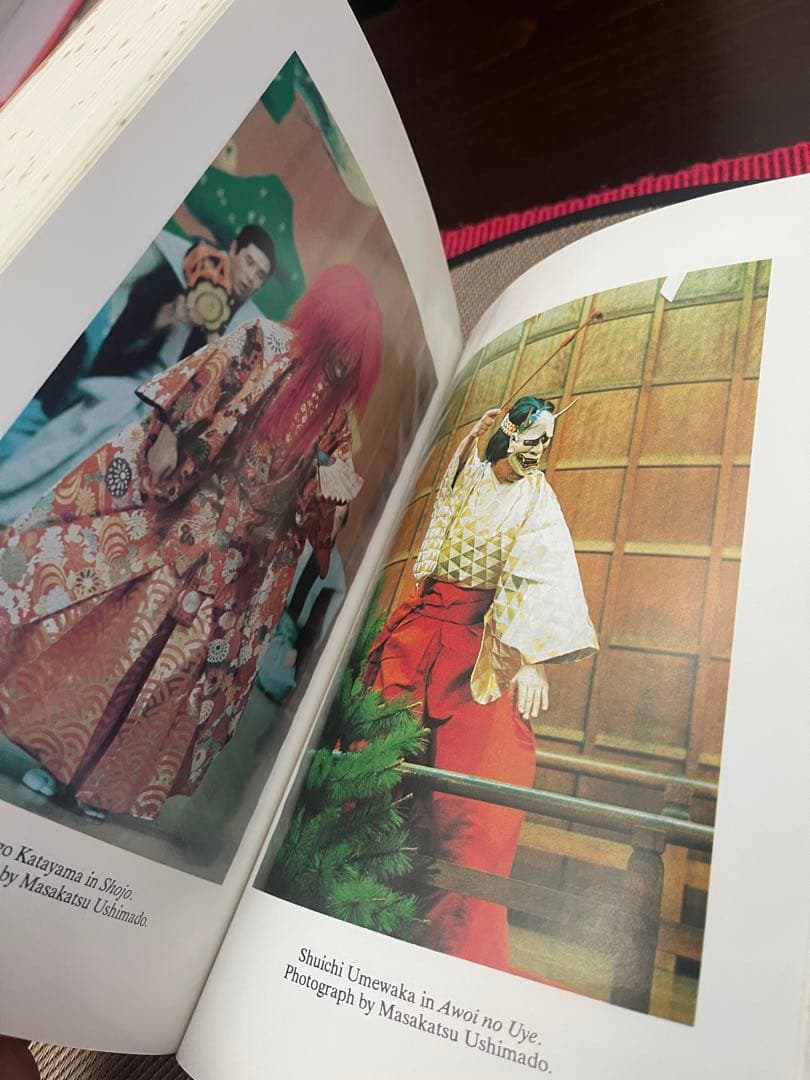 洋書 AGuideto Ezra Pound and Ernest Fenollosa