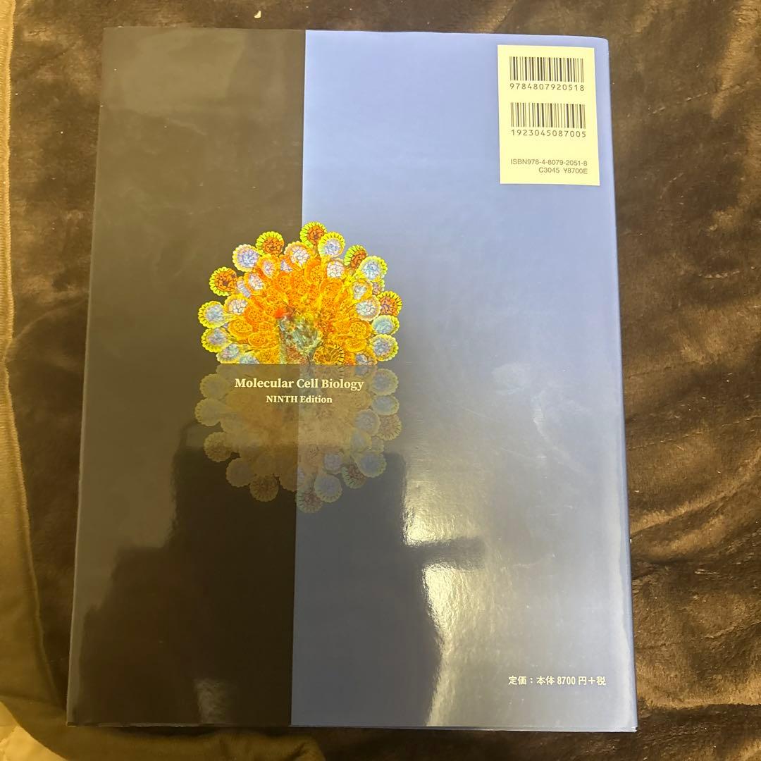 ロディッシュ分子細胞生物学 第9版　ほぼ未使用
