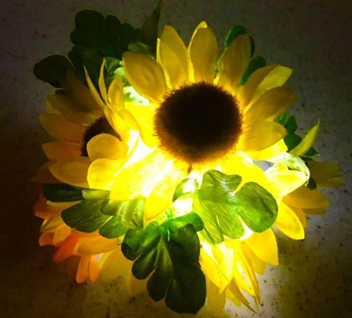 ランプ・ライト　LED