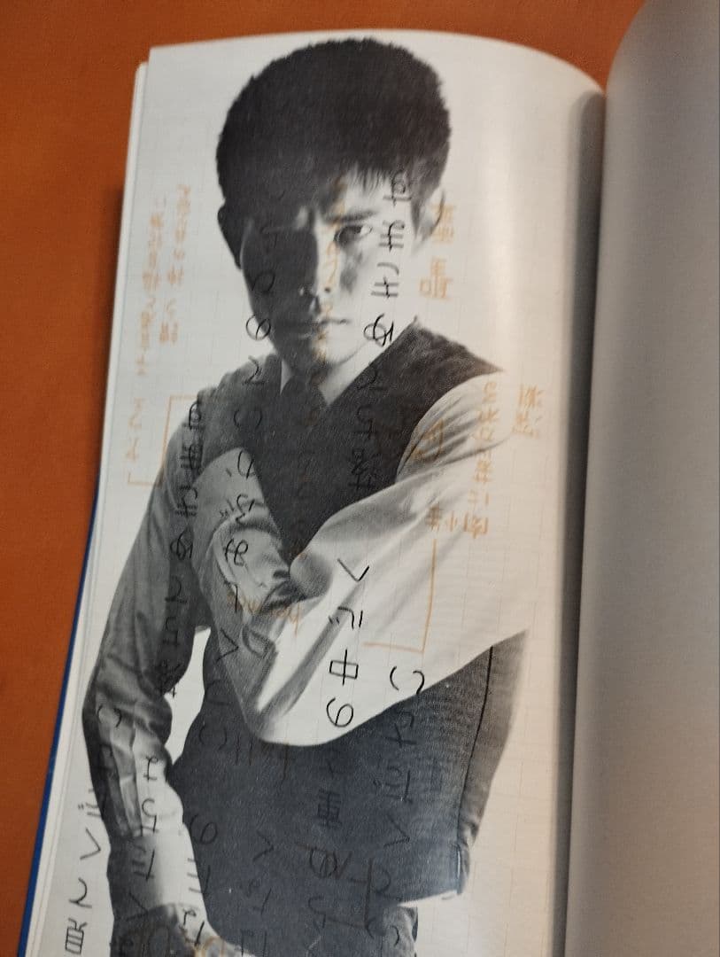 高橋睦郎詩集「眠りと犯しと落下と」1965年