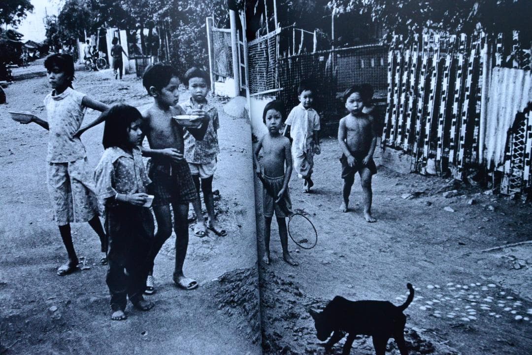 【THE TROPICS： DAIDO MORIYAMA】　森山大道　★新品