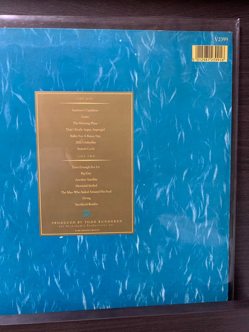 UK ORIGINAL XTC/Skylarking エンボス加工V2399