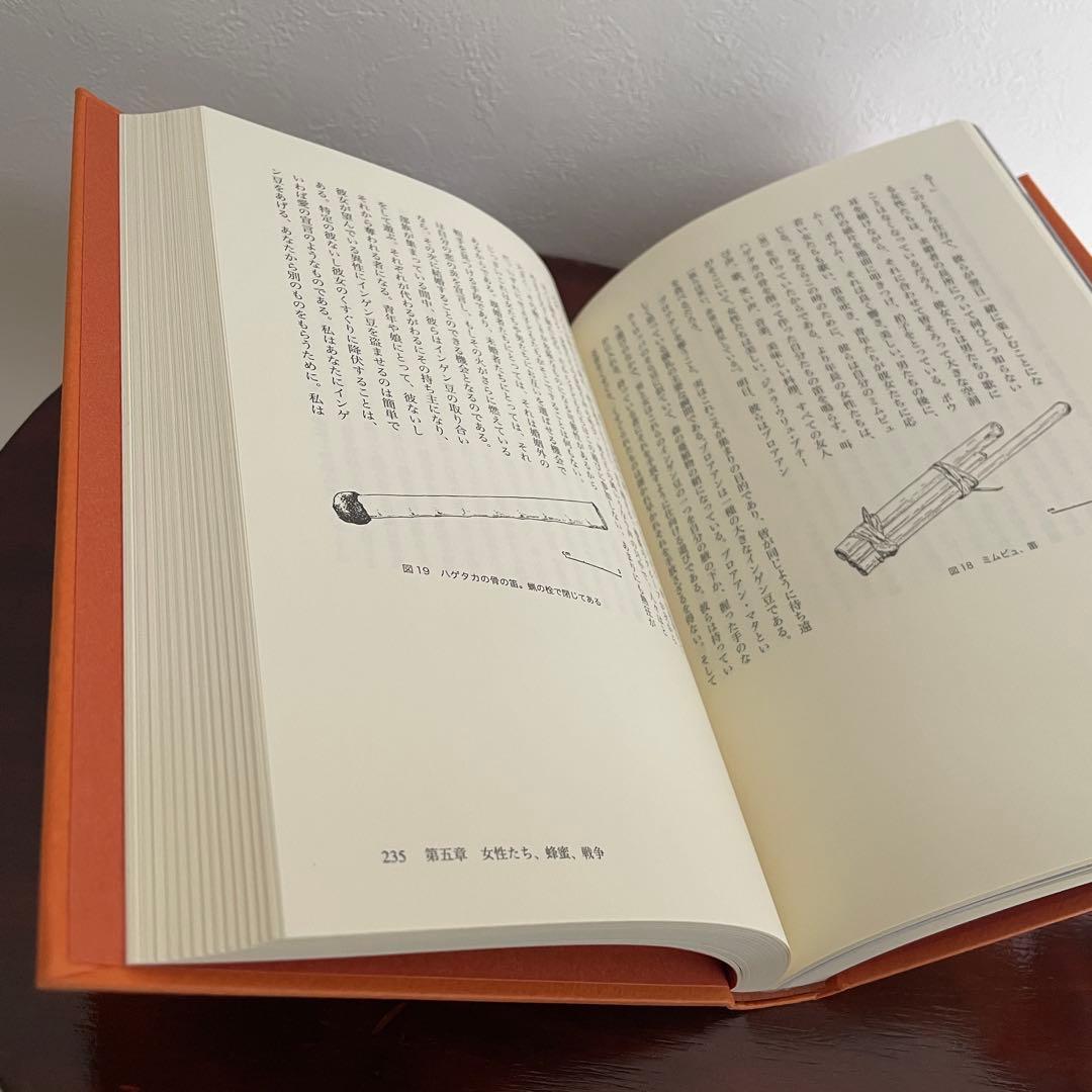 大いなる語り グアヤキ年代記 ピエール・クラストル 2冊ピックアップ