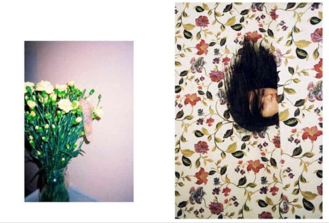 絶版‼️ LIN ZHIPENG 写真集 REN HANG