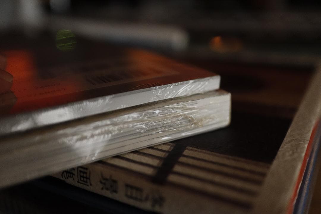 【新品未開封】冬目景画集 20 -twenty- 大判、イエスタデイ、羊のうた