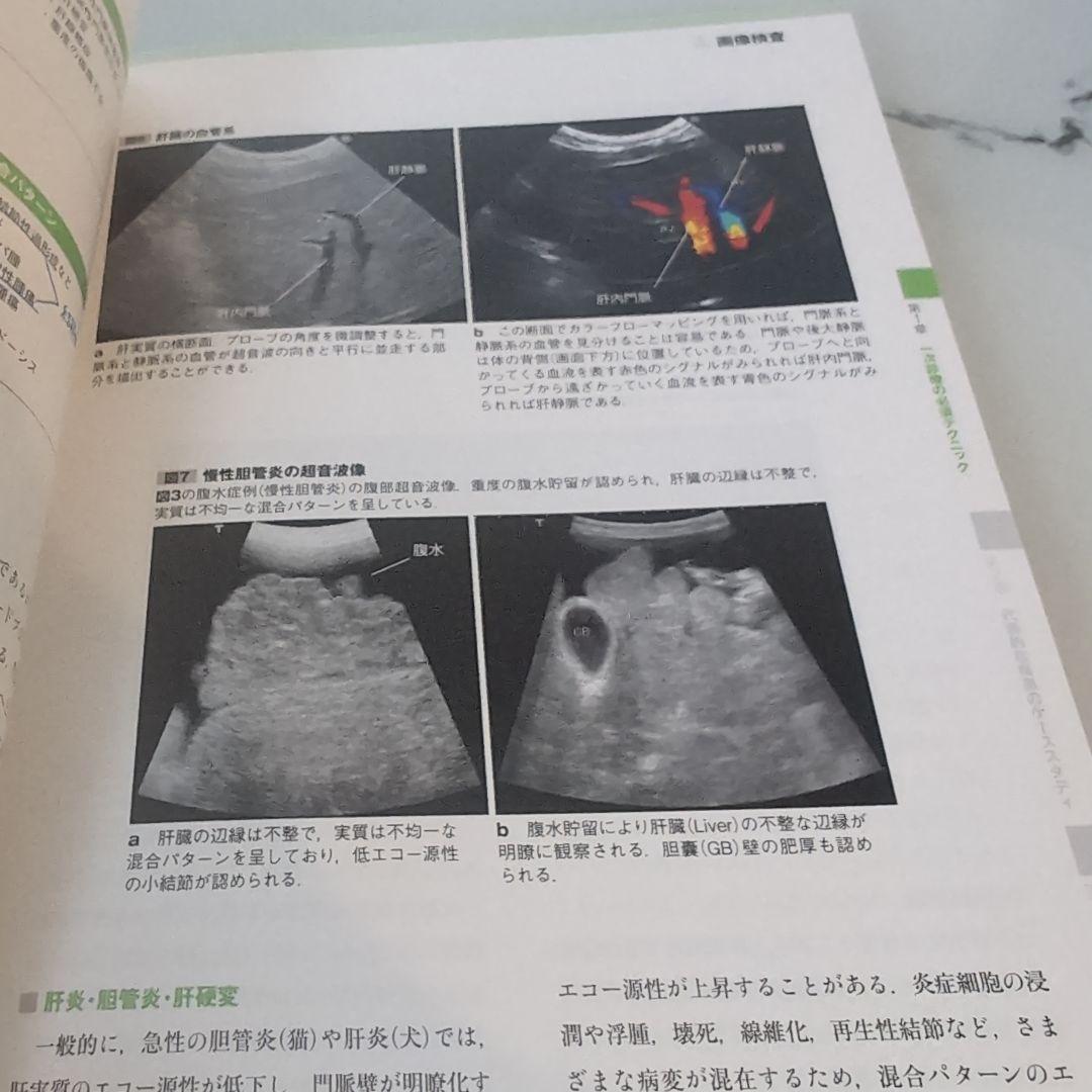 犬と猫の肝・胆・膵